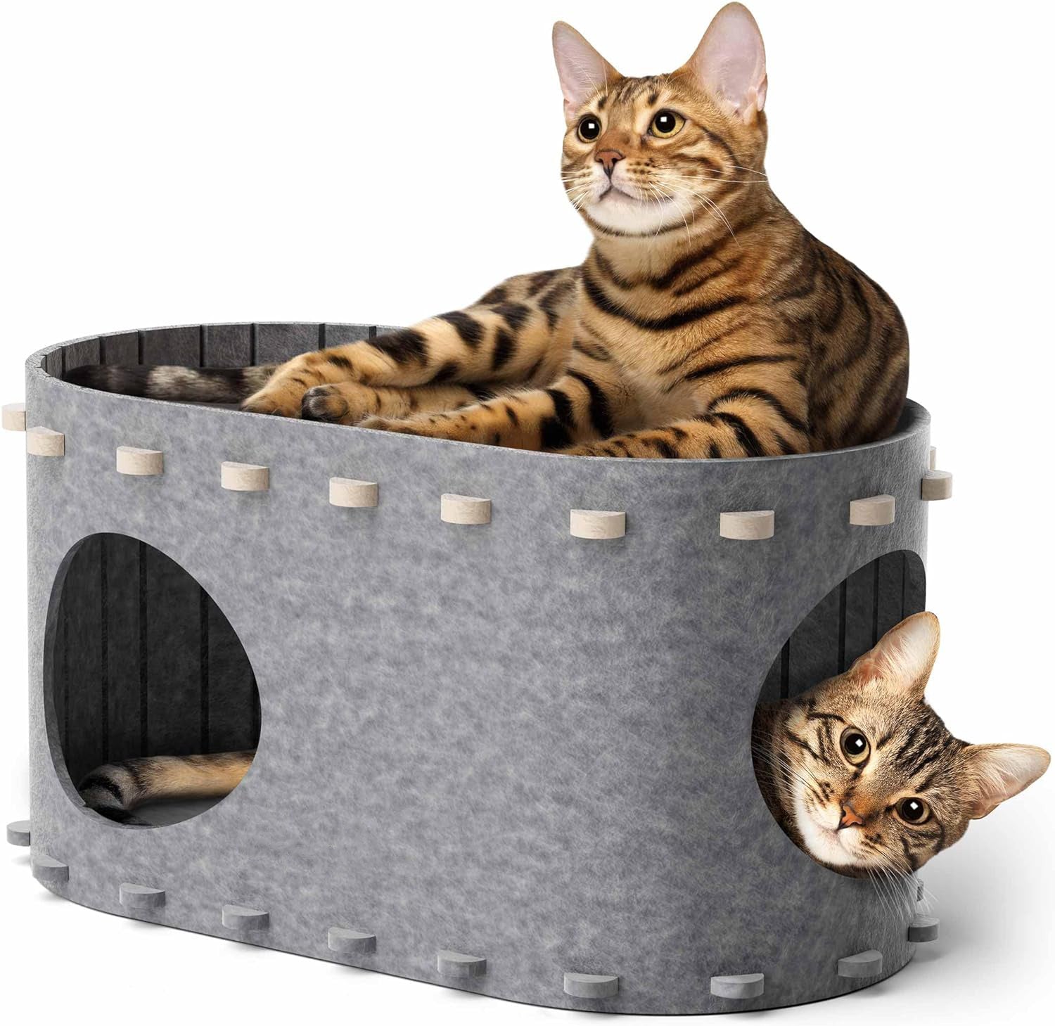 Cozy Cat Bed & Play Tunnel in One!