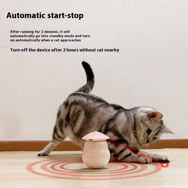 A Laser Toy Your Cat Will Love, A Fun Tumbler for Your Feline Friend