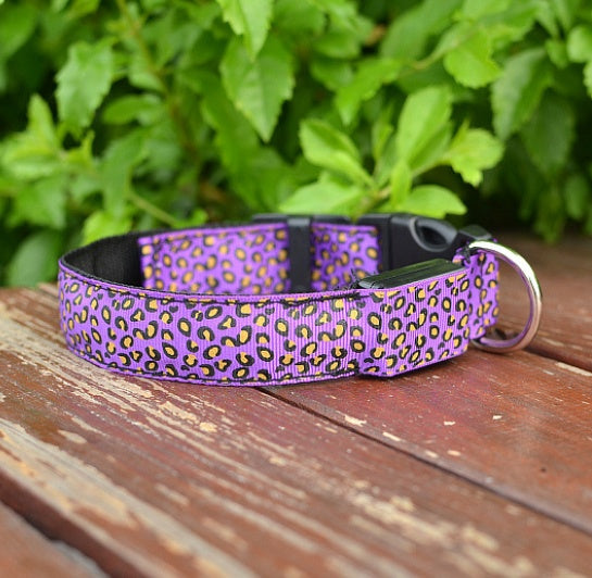 Keep Your Best Friend Visible at Night with this Light Up Dog Collar