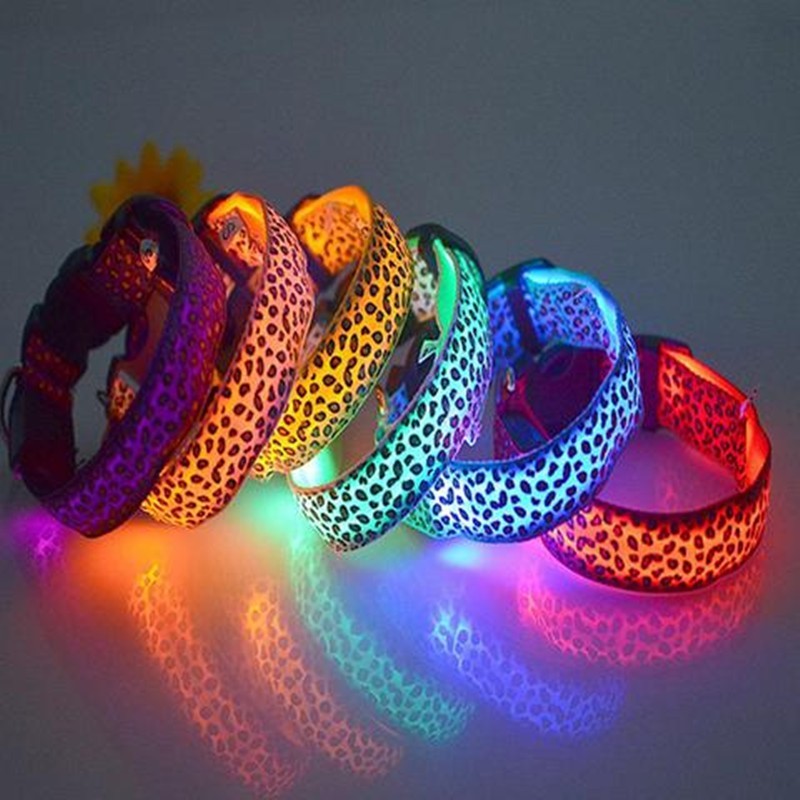 Keep Your Best Friend Visible at Night with this Light Up Dog Collar