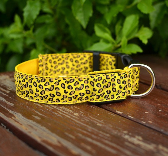 Keep Your Best Friend Visible at Night with this Light Up Dog Collar