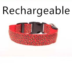 Keep Your Best Friend Visible at Night with this Light Up Dog Collar