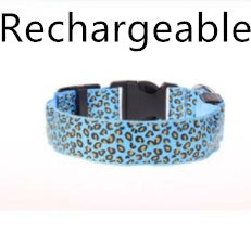 Keep Your Best Friend Visible at Night with this Light Up Dog Collar