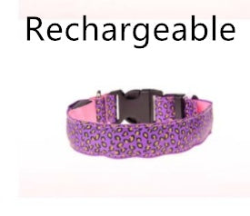 Keep Your Best Friend Visible at Night with this Light Up Dog Collar