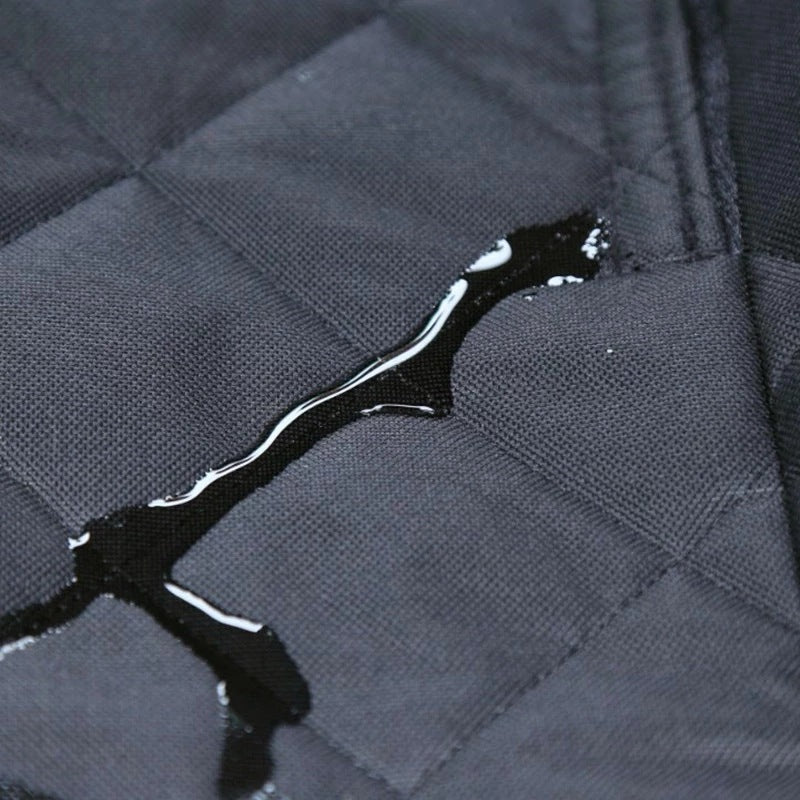 Keep Your Cars Backseat Protected from Muddy Dog Paws