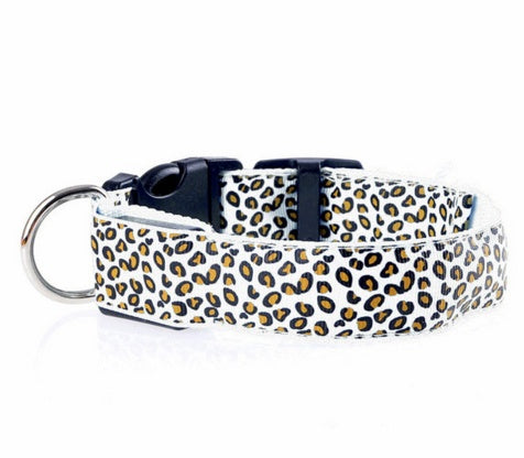 Keep Your Best Friend Visible at Night with this Light Up Dog Collar