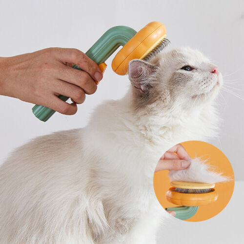 Happy Grooming with the Pumpkin Cat Brush, Self-Cleaning, Remove Shedding Hair, Quick and Easy
