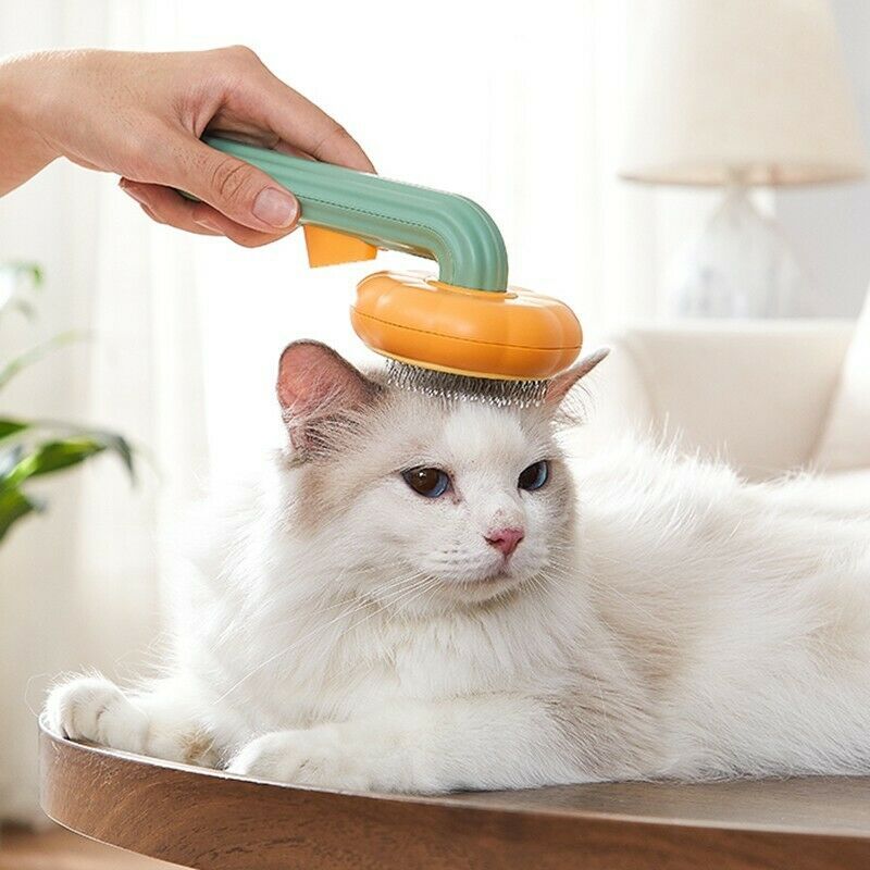 Happy Grooming with the Pumpkin Cat Brush, Self-Cleaning, Remove Shedding Hair, Quick and Easy