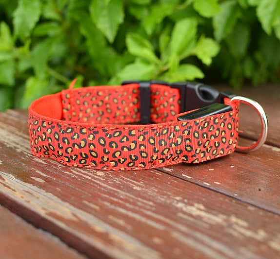 Keep Your Best Friend Visible at Night with this Light Up Dog Collar