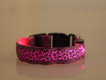 Keep Your Best Friend Visible at Night with this Light Up Dog Collar