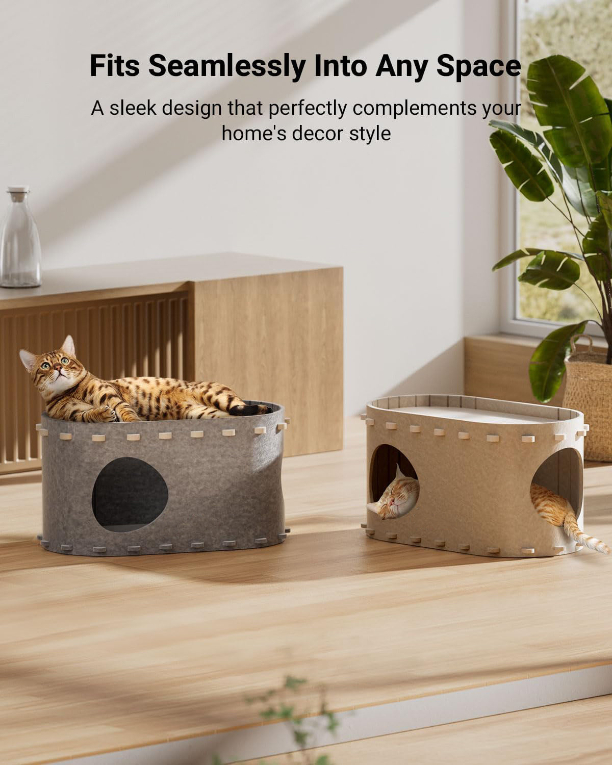 Cozy Cat Bed & Play Tunnel in One!