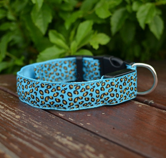 Keep Your Best Friend Visible at Night with this Light Up Dog Collar