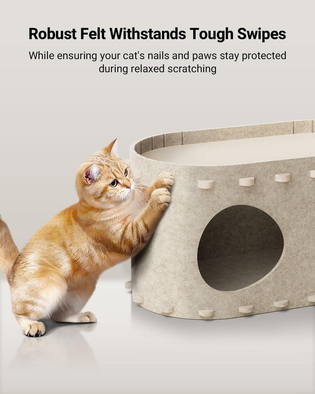 Cozy Cat Bed & Play Tunnel in One!
