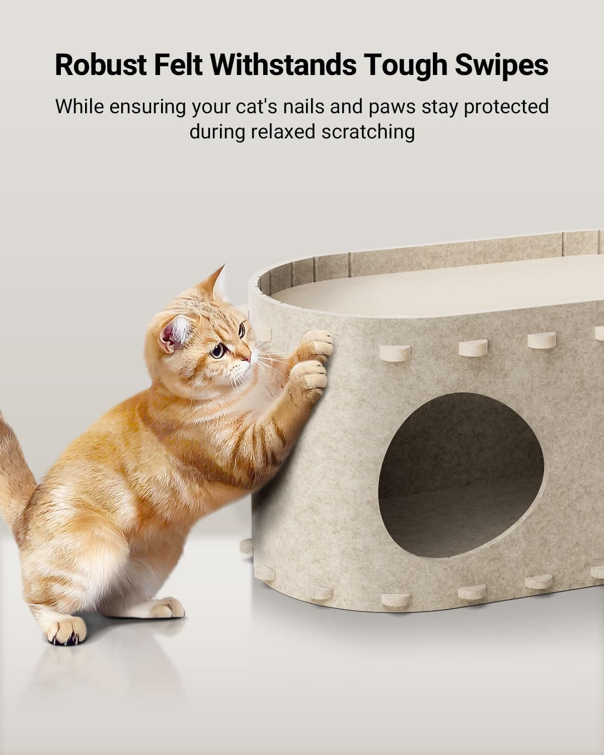 Cozy Cat Bed & Play Tunnel in One!