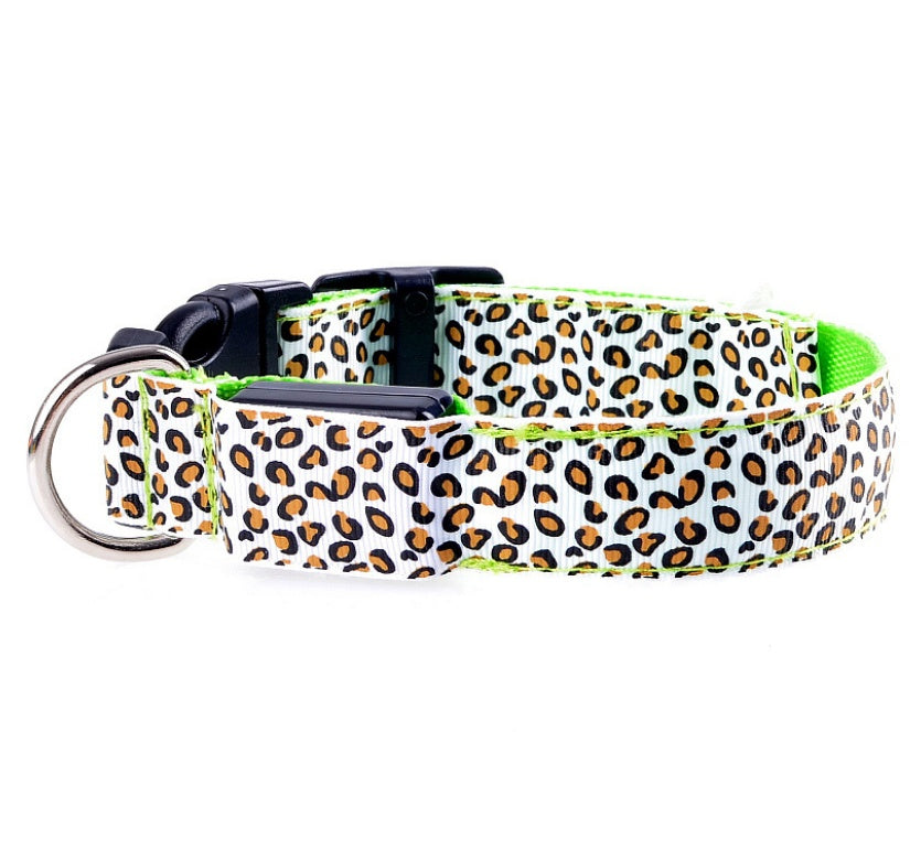 Keep Your Best Friend Visible at Night with this Light Up Dog Collar