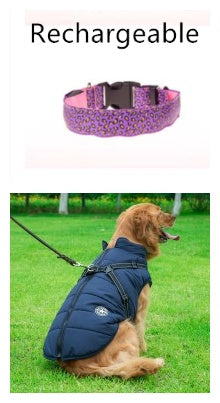 Keep Your Best Friend Visible at Night with this Light Up Dog Collar
