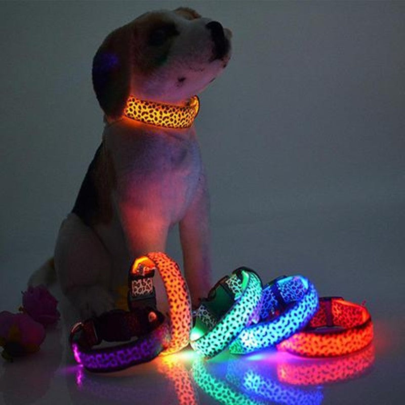 Keep Your Best Friend Visible at Night with this Light Up Dog Collar