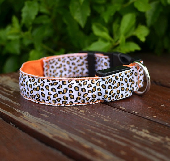 Keep Your Best Friend Visible at Night with this Light Up Dog Collar
