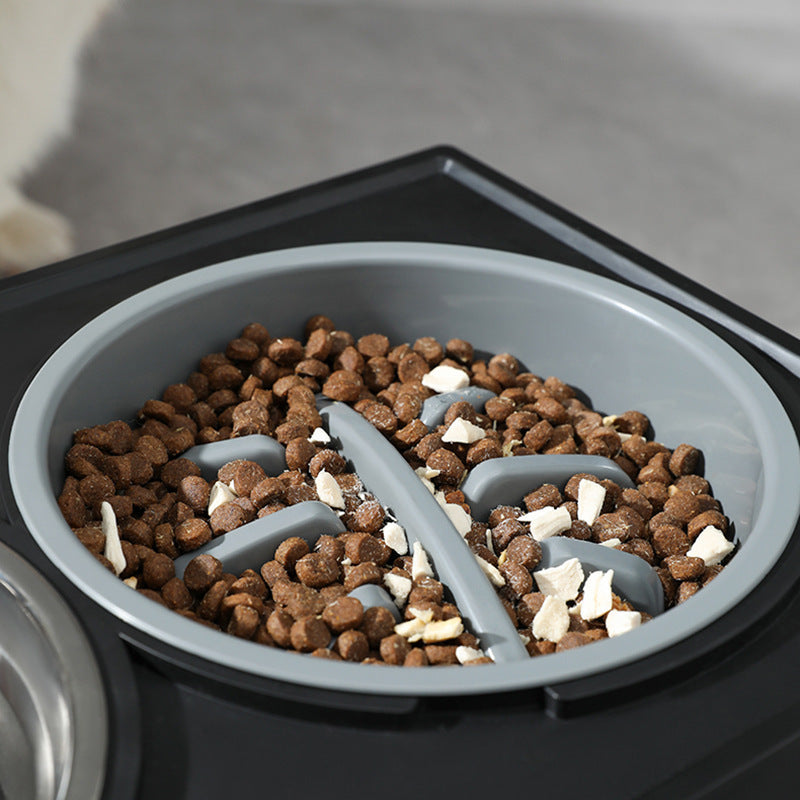 Elevated Bowls for a Healthy Dog, A Healthier Way to Feed Your Dog