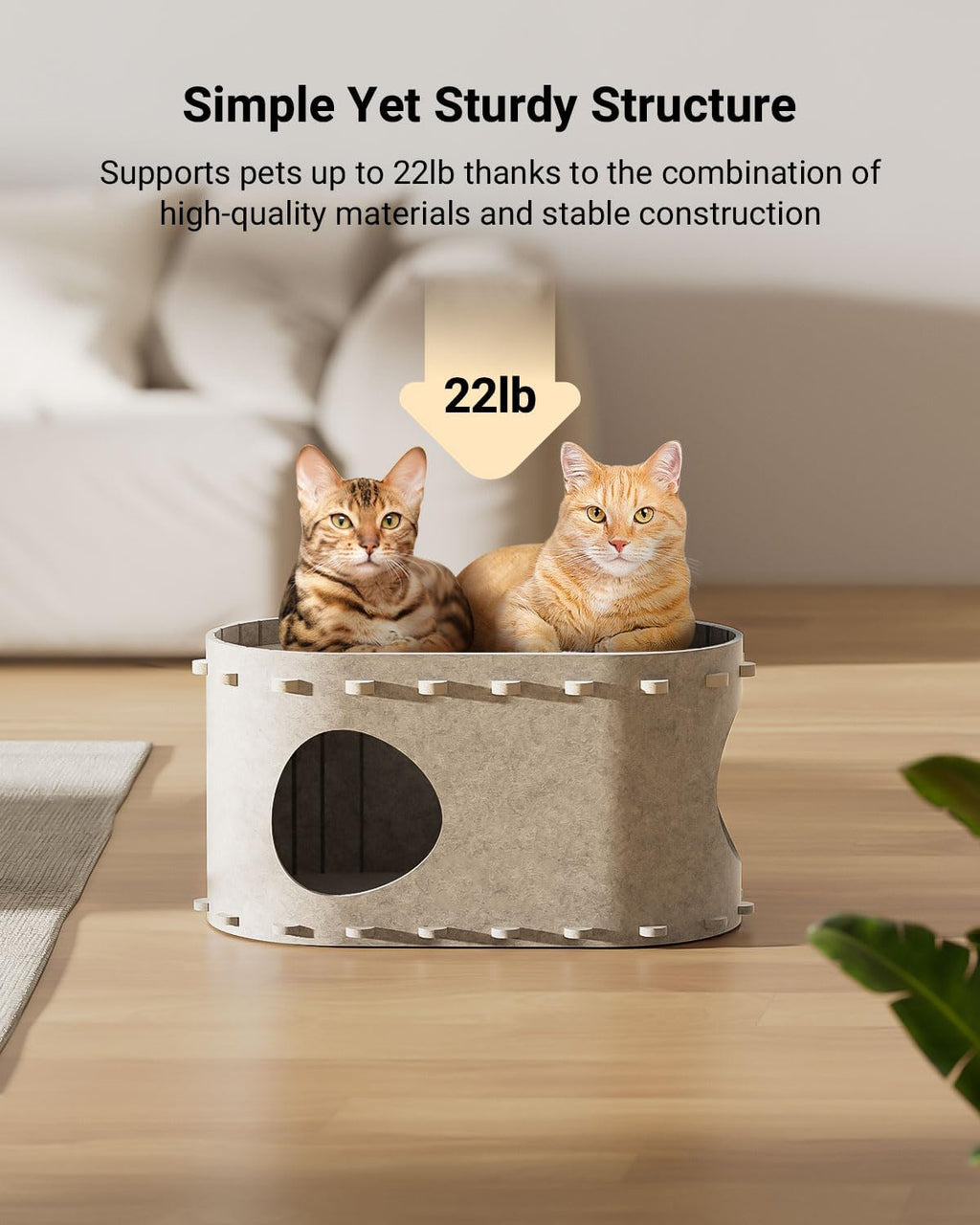Cozy Cat Bed & Play Tunnel in One!