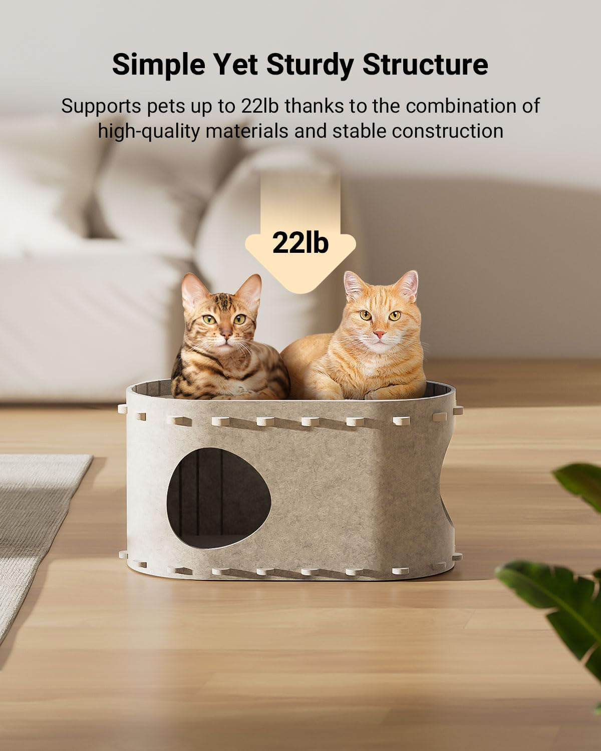Cozy Cat Bed & Play Tunnel in One!