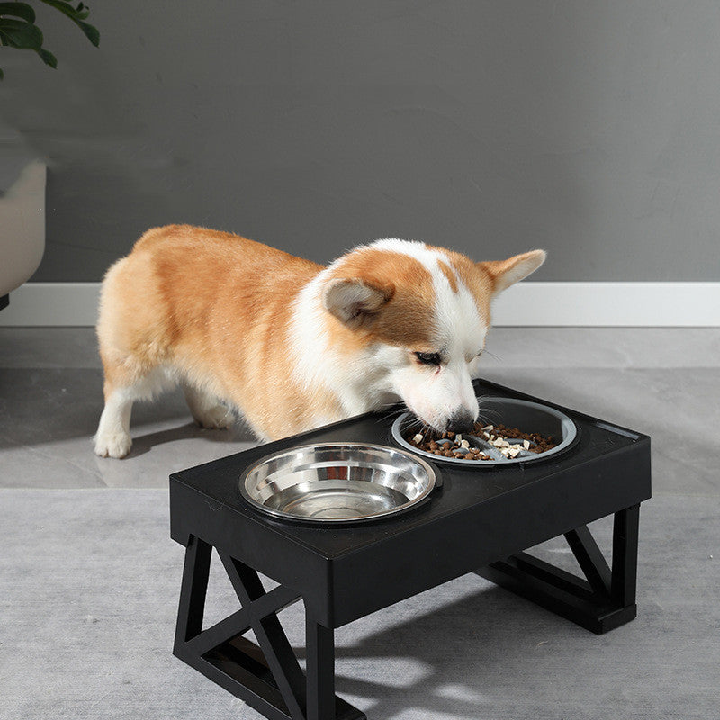 Elevated Bowls for a Healthy Dog, A Healthier Way to Feed Your Dog