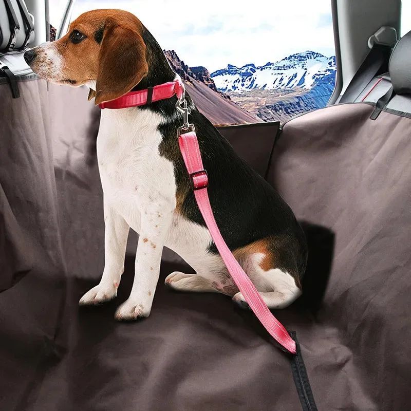 A Must-Have for Doggy Road Trips, Travel Safely with your Dog Every Journey.