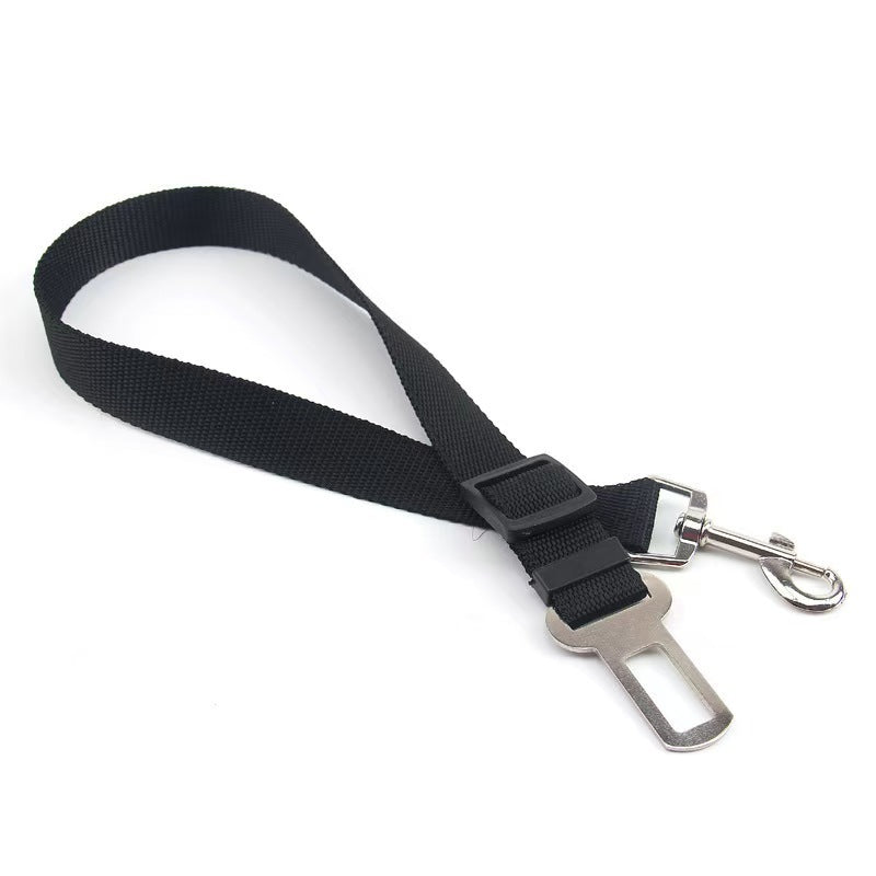 A Must-Have for Doggy Road Trips, Travel Safely with your Dog Every Journey.