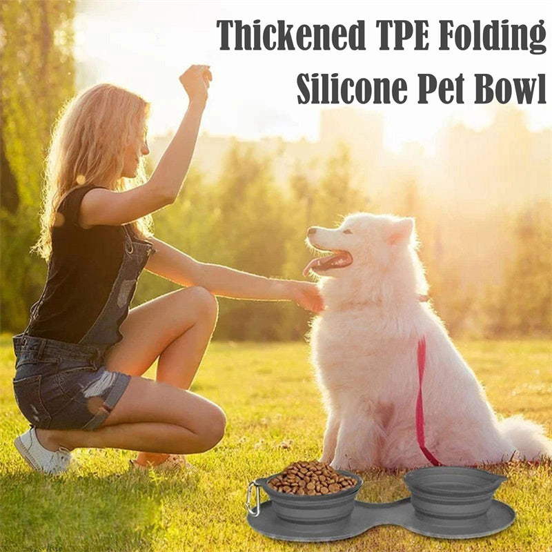 Packable, Smart, Foldable Bowls for Your Dogs Adventure