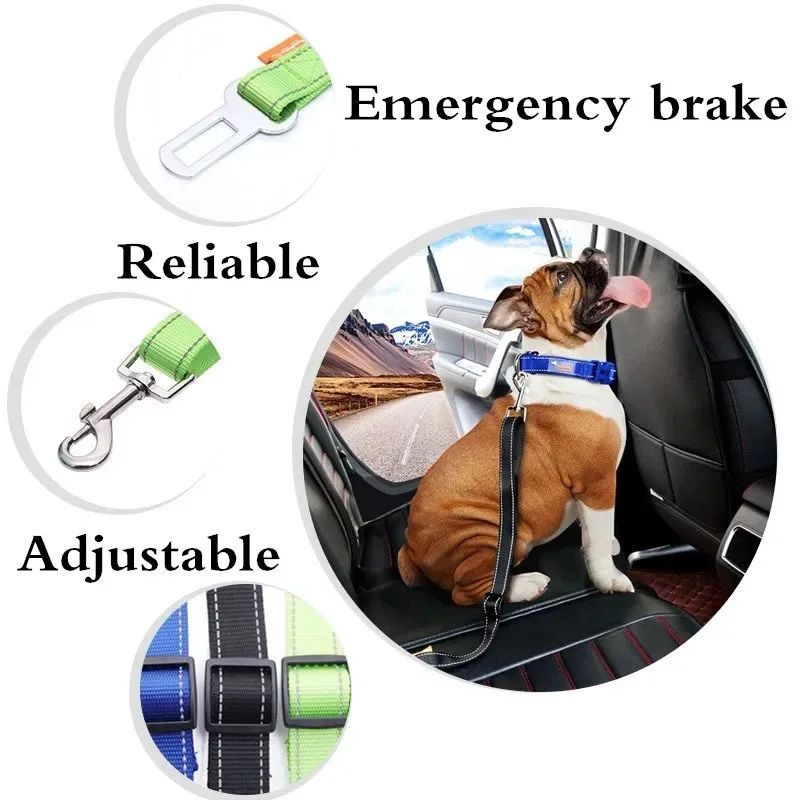 A Must-Have for Doggy Road Trips, Travel Safely with your Dog Every Journey.
