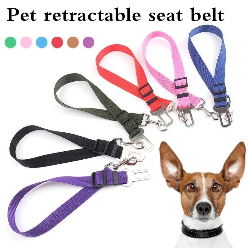 A Must-Have for Doggy Road Trips, Travel Safely with your Dog Every Journey.