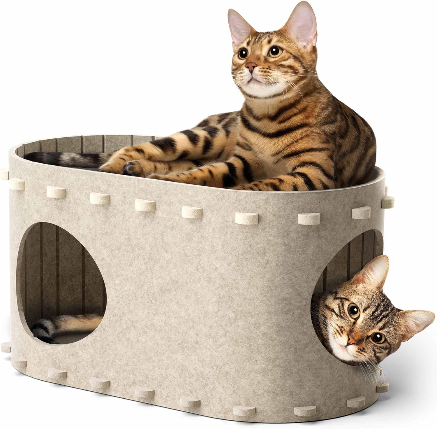 Cozy Cat Bed & Play Tunnel in One!