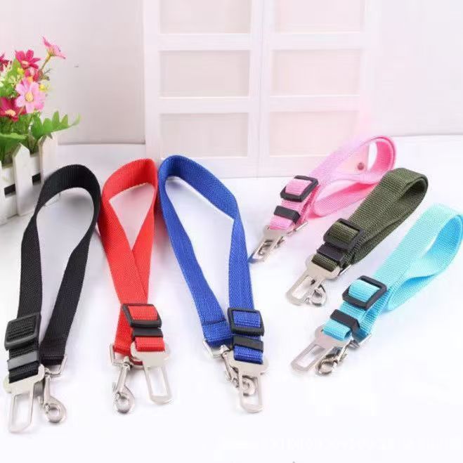 A Must-Have for Doggy Road Trips, Travel Safely with your Dog Every Journey.
